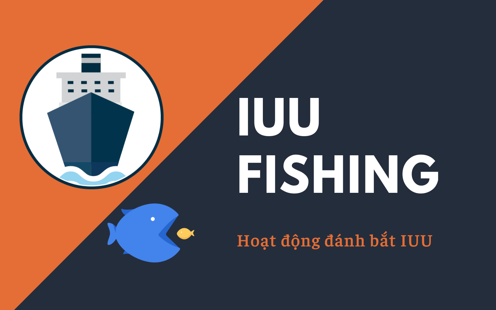 Một số điểm mới của Nghị định số 26/2019/NĐ-CP của Chính phủ và trách nhiệm của Bộ đội Biên phòng trong tháo gỡ cảnh báo “thẻ vàng” của Ủy ban Châu âu đối với hải sản Việt Nam