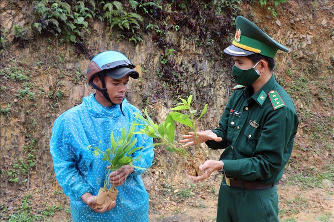 BĐBP tỉnh Thừa Thiên - Huế xây dựng lũy thép biên cương
