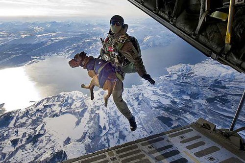 Một số lực lượng đặc nhiệm tinh nhuệ của các quốc gia trên thế giới