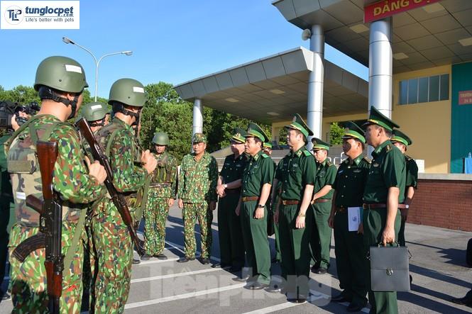 Chức năng, nhiệm vụ của lực lượng Bộ đội Biên phòng