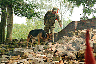 Đội cứu hộ, cứu nạn đặc biệt