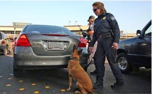 Quan thuế và Biên phòng Hoa Kỳ